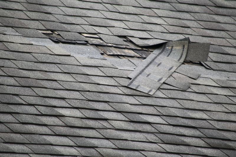 Fiberglass Shingles Repair