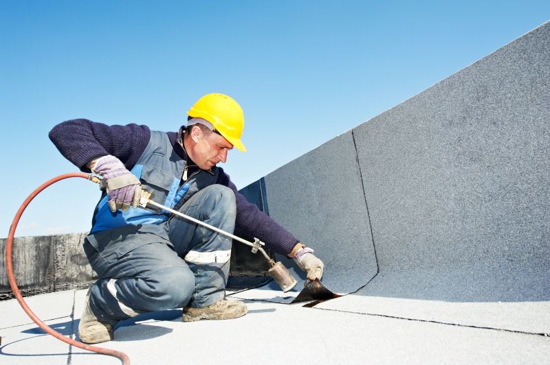 Professional Roofing Services